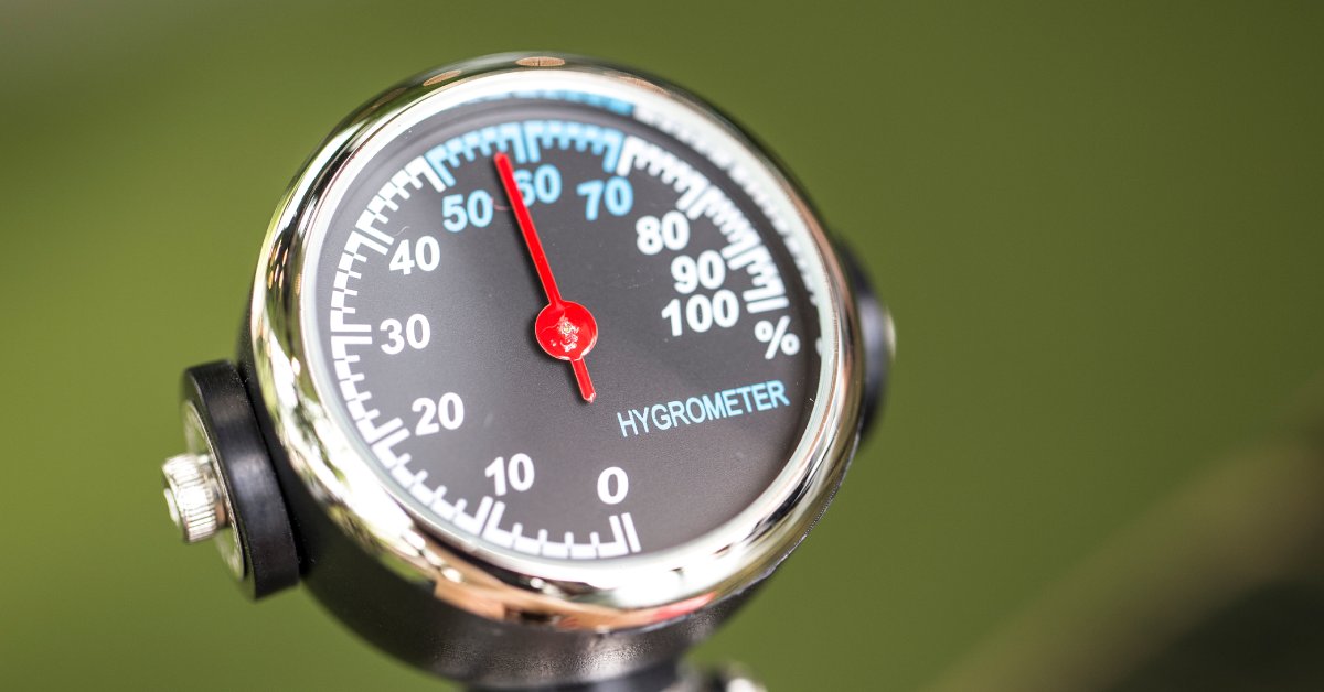 An analog hygrometer against a green background. The red needle indicates humidity levels near 60 percent.