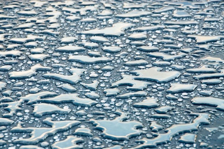 SILANE WB CONCENTRATE™